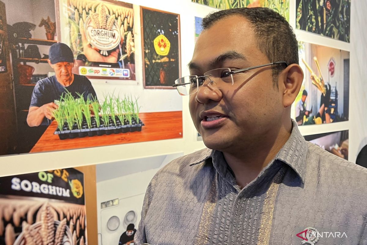 Soal WNA pimpin BUMN,Tedi Bharata: Tingkatkan kompetensi internasional