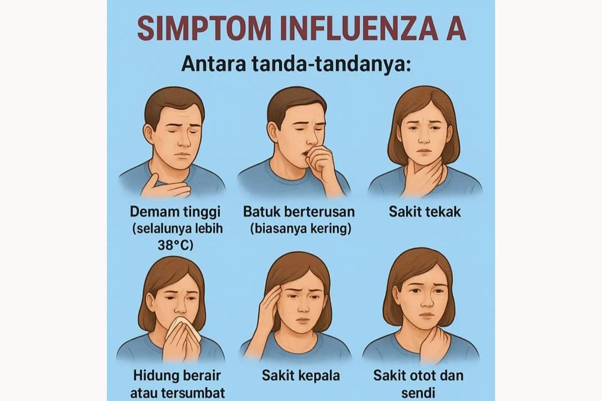 Apa itu influenza A?