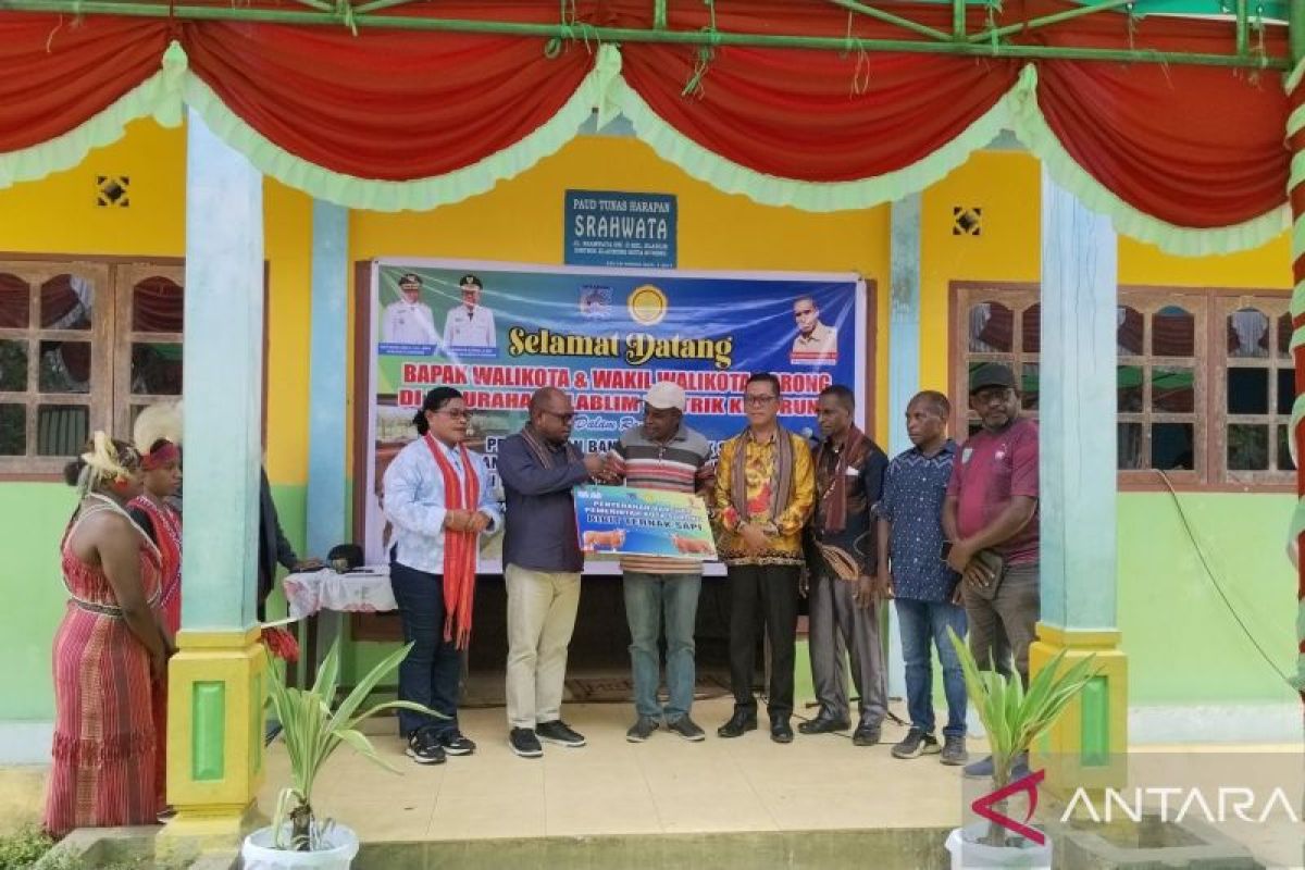 Pemkot Sorong berikan bantuan 40 sapi untuk kelompok peternak OAP