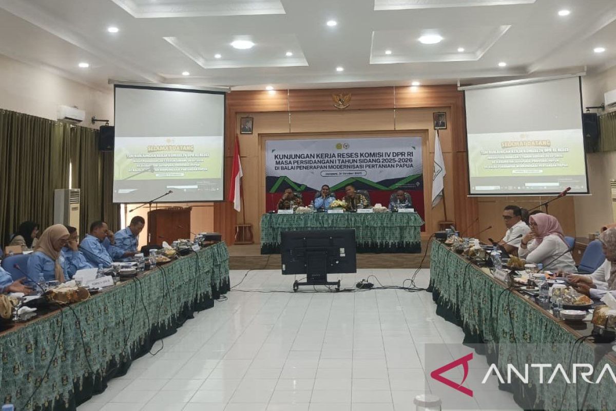 Komisi IV DPR RI: Papua miliki potensi besar di bidang pertanian  