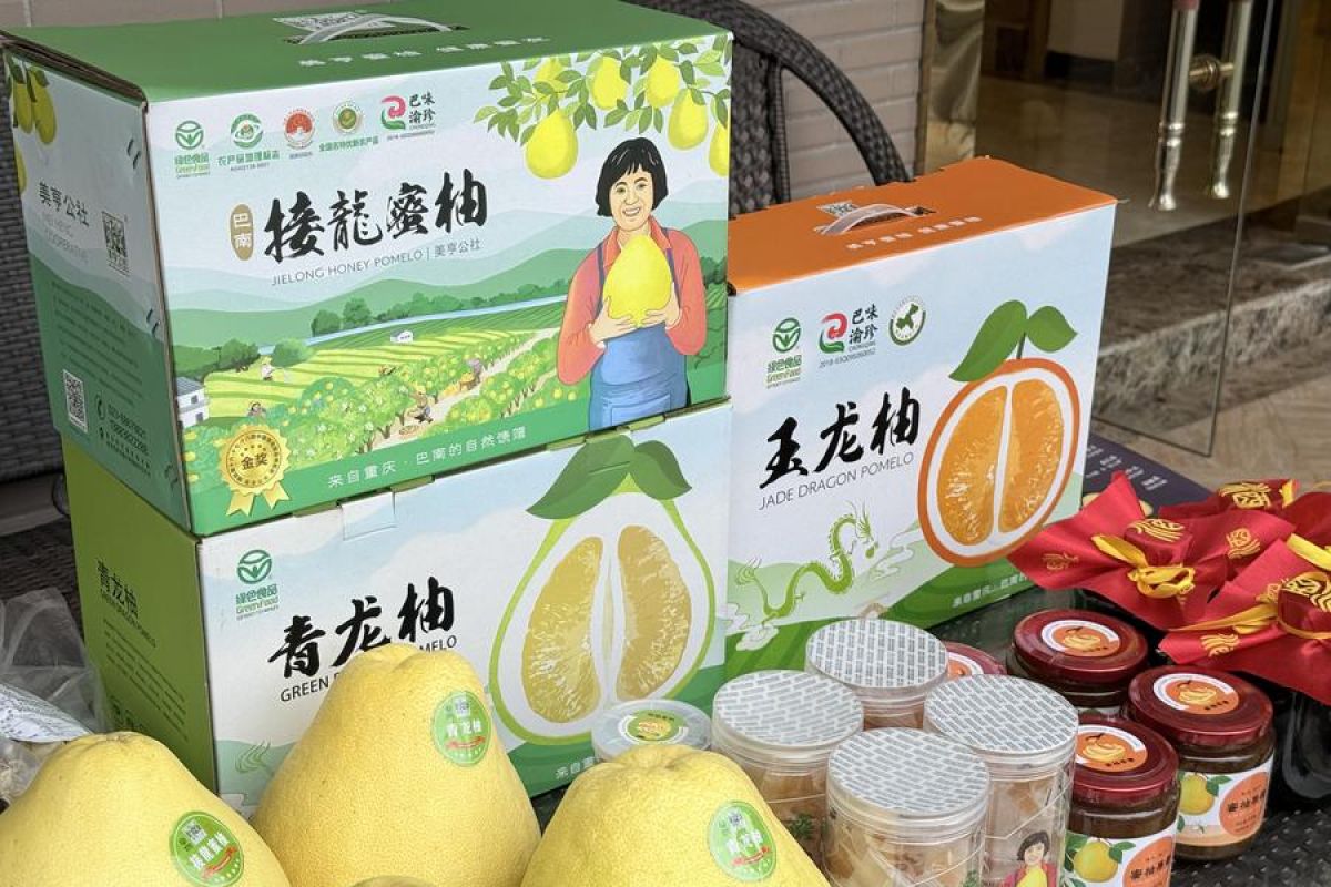 Wirausahawan perempuan pimpin perubahan di pedesaan China