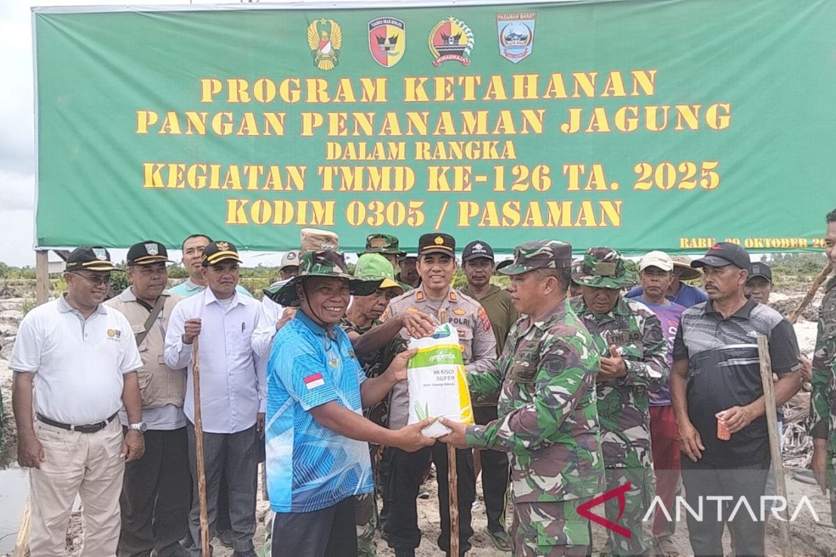 Kodim 0305/Pasaman berikan pendampingan petani jagung di Kinali