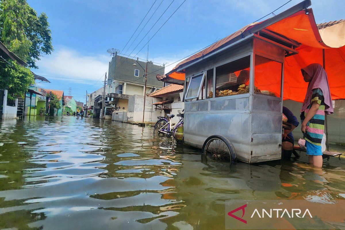 Atasi banjir Semarang, BNPB fokus pompanisasi hingga modifikasi cuaca