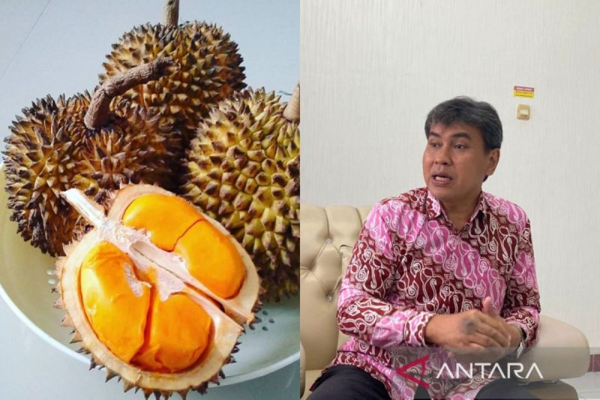 Unmul Samarinda kembangkan riset Lai Durian jadi buah unggulan