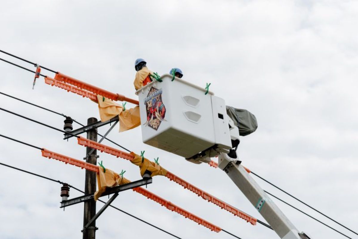 PLN Kalselteng terjunkan 6 Tim PDKB jaga keandalan listrik jelang musim hujan