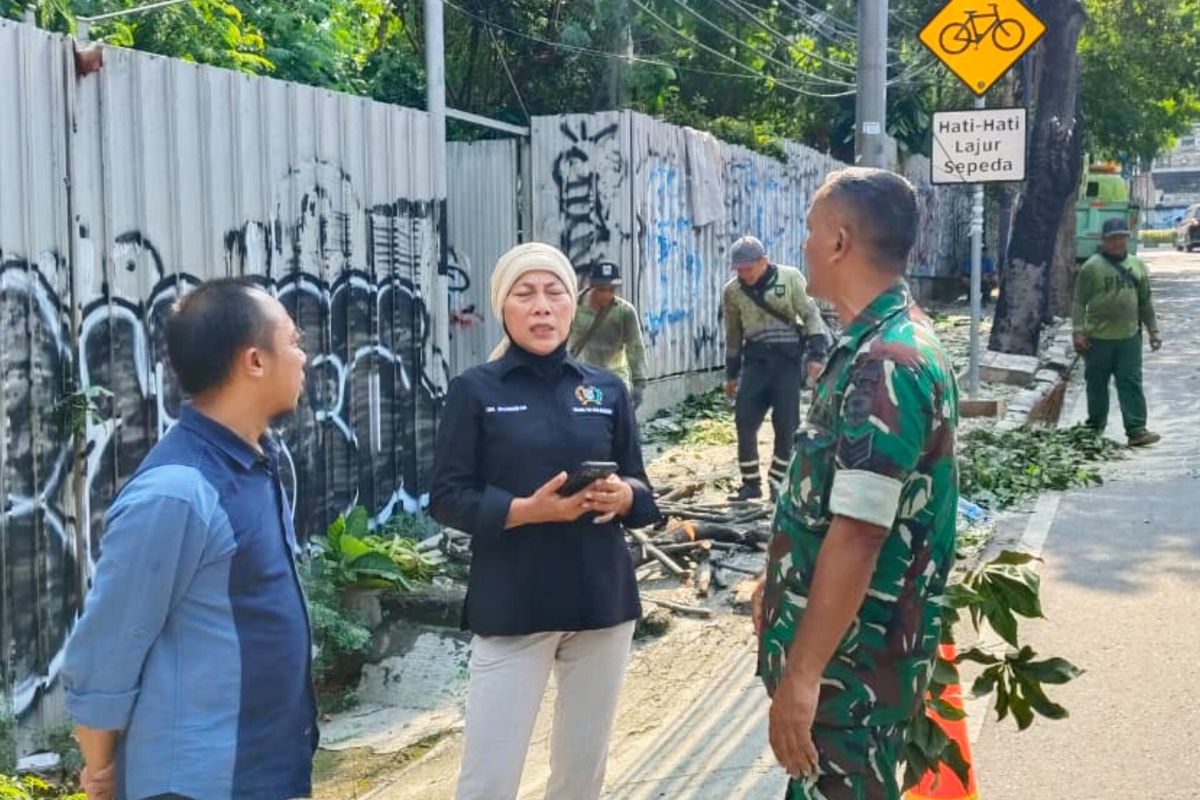 Legislator desak Distamhut DKI pastikan kesehatan pohon cegah tumbang