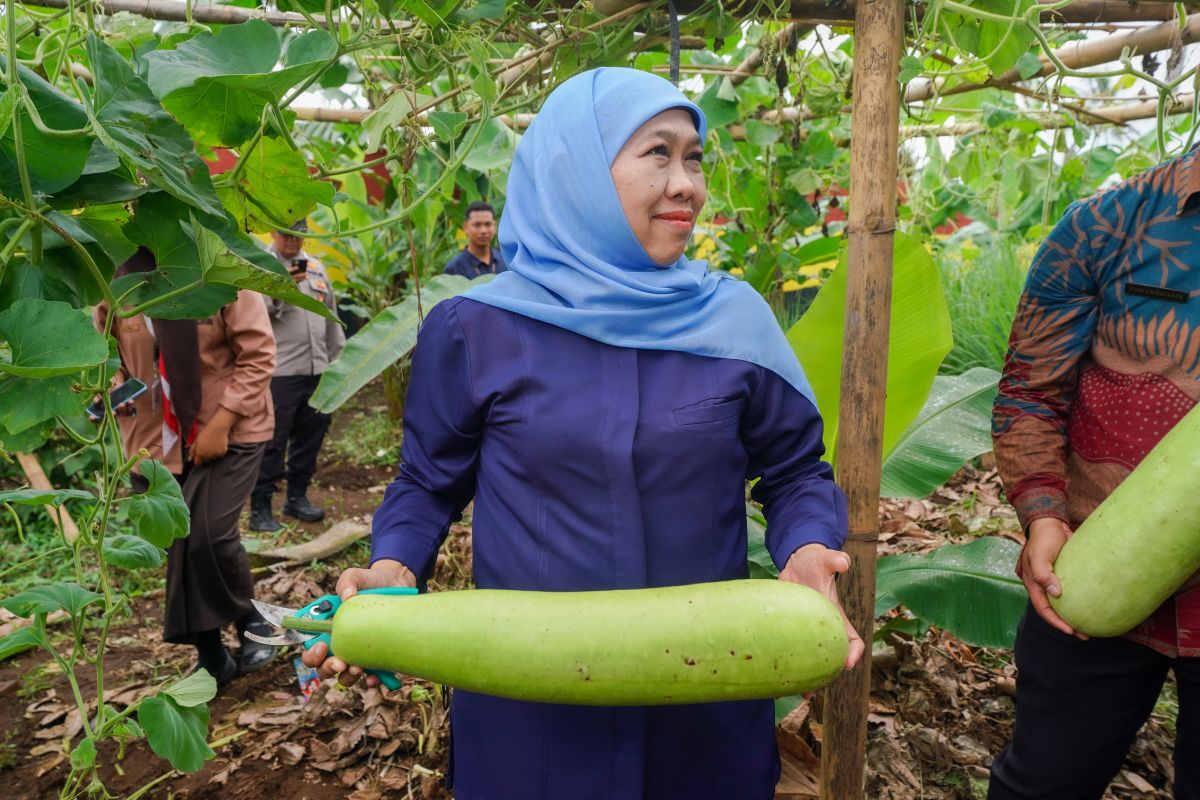 Khofifah apresiasi SMAN 1 Dampit jadi role model ketahanan pangan