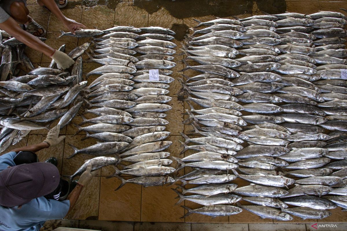 KKP pastikan volume tangkapan ikan nasional 2025 tak lebihi 7 juta ton