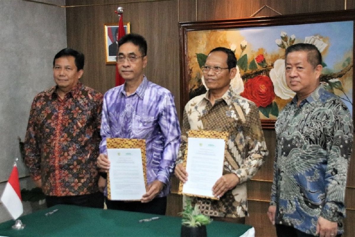 APHI dan ITPC memperkuat pengelolaan berkelanjutan lahan gambut tropis