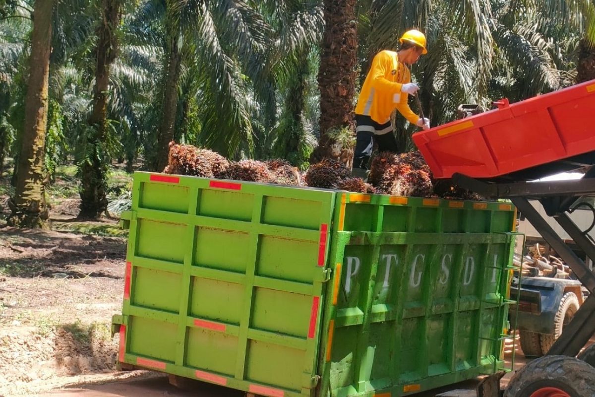 Astra Agro komitmen jaga ketertelusuran rantai pasok sawit