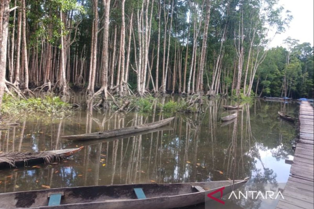 Anggaran Pokja Kampung Keakwa Baru untuk buat 70 perahu dayung