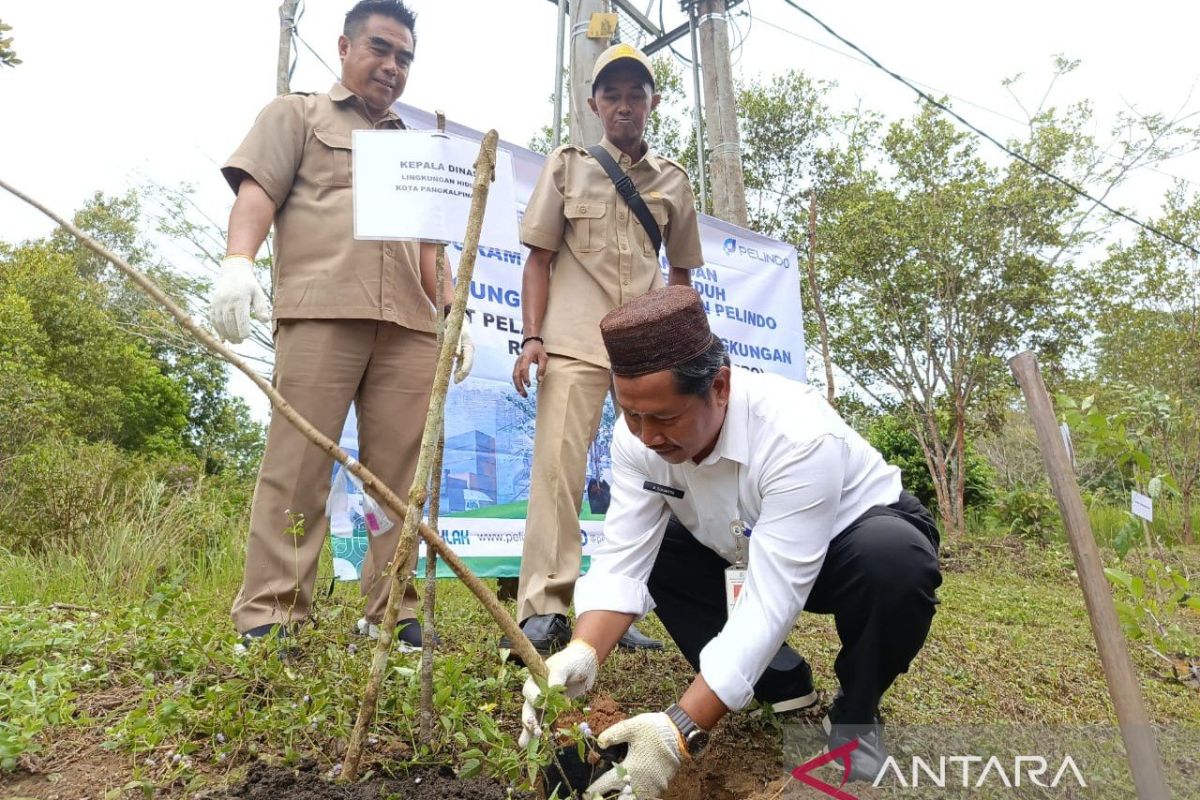 Pangkalpinang kirim sampel manggis klabang terancam punah ke BRIN untuk diteliti