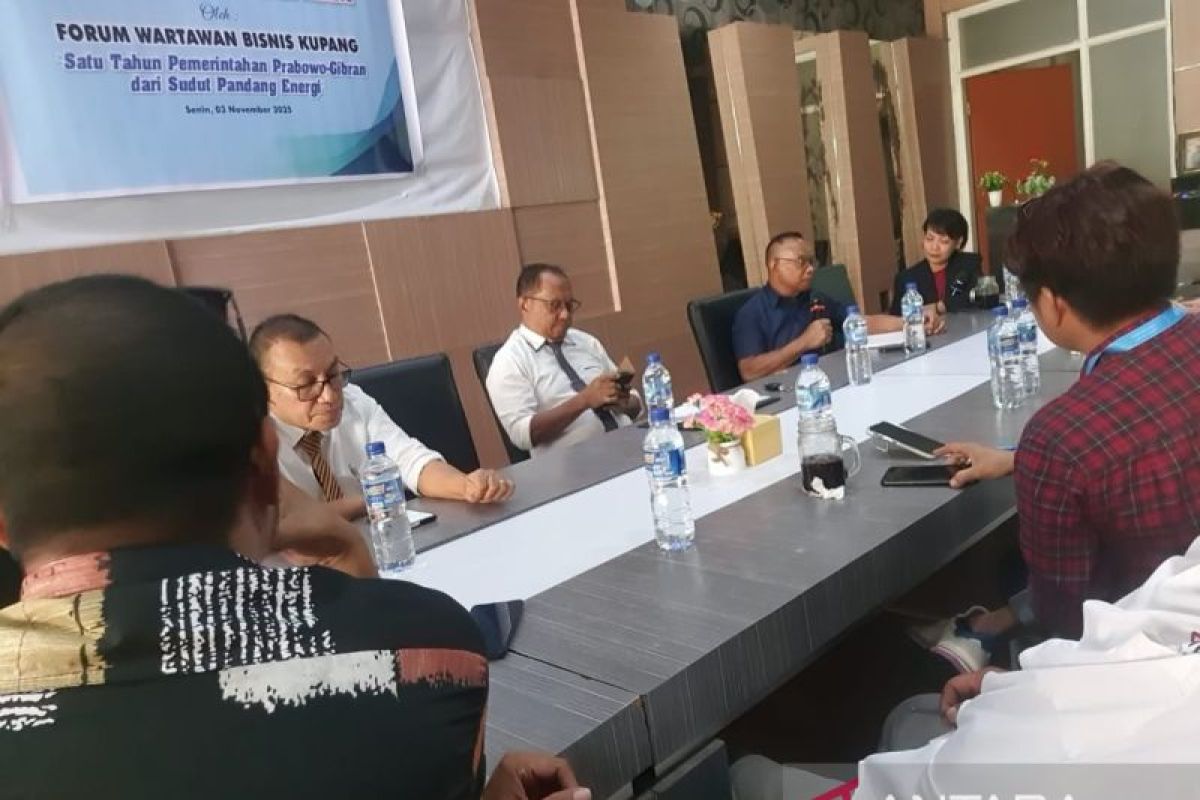 Pakar energi: Dibutuhkan kebijakan pemerintah soal nilai tambah pemanfaatan energi