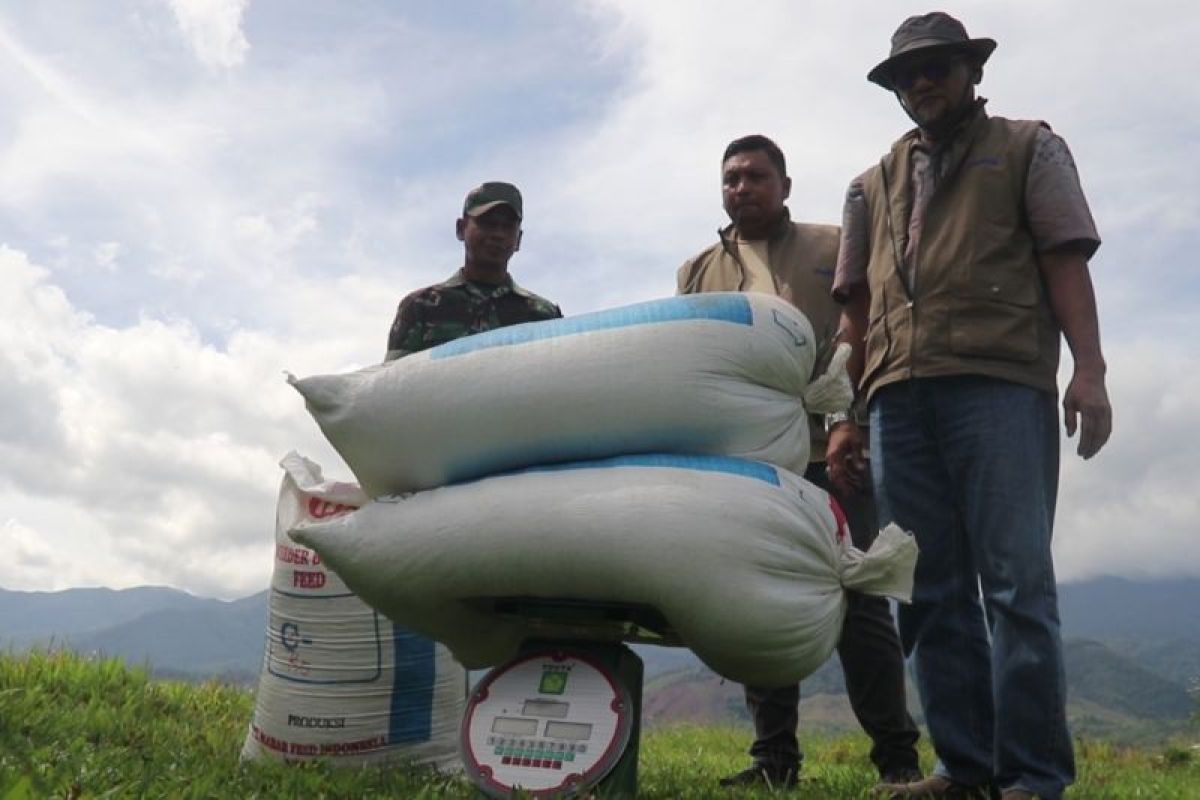 Bulog pastikan harga gabah panen gadu stabil