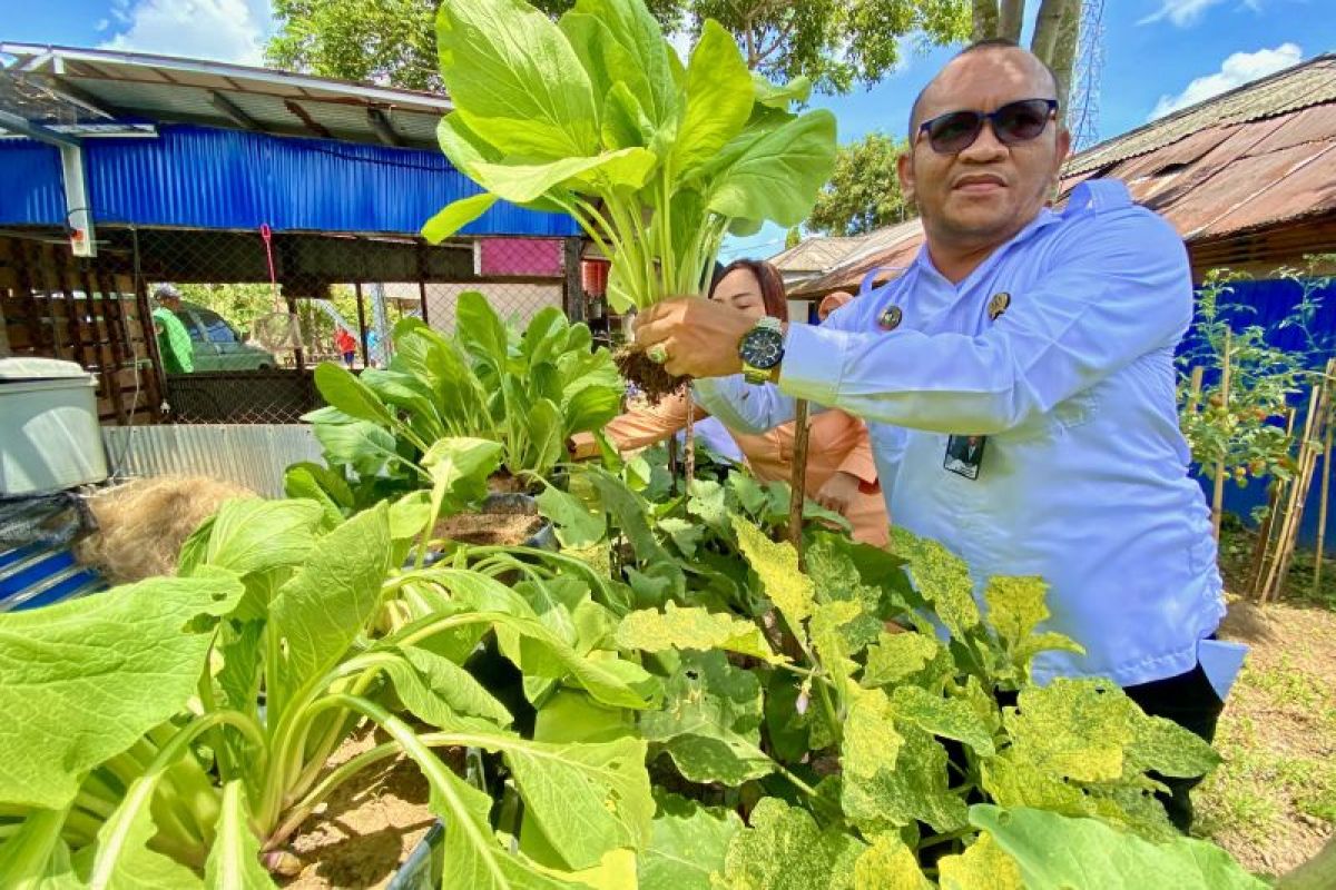 Rantau Detention harvests vegetables from food security program