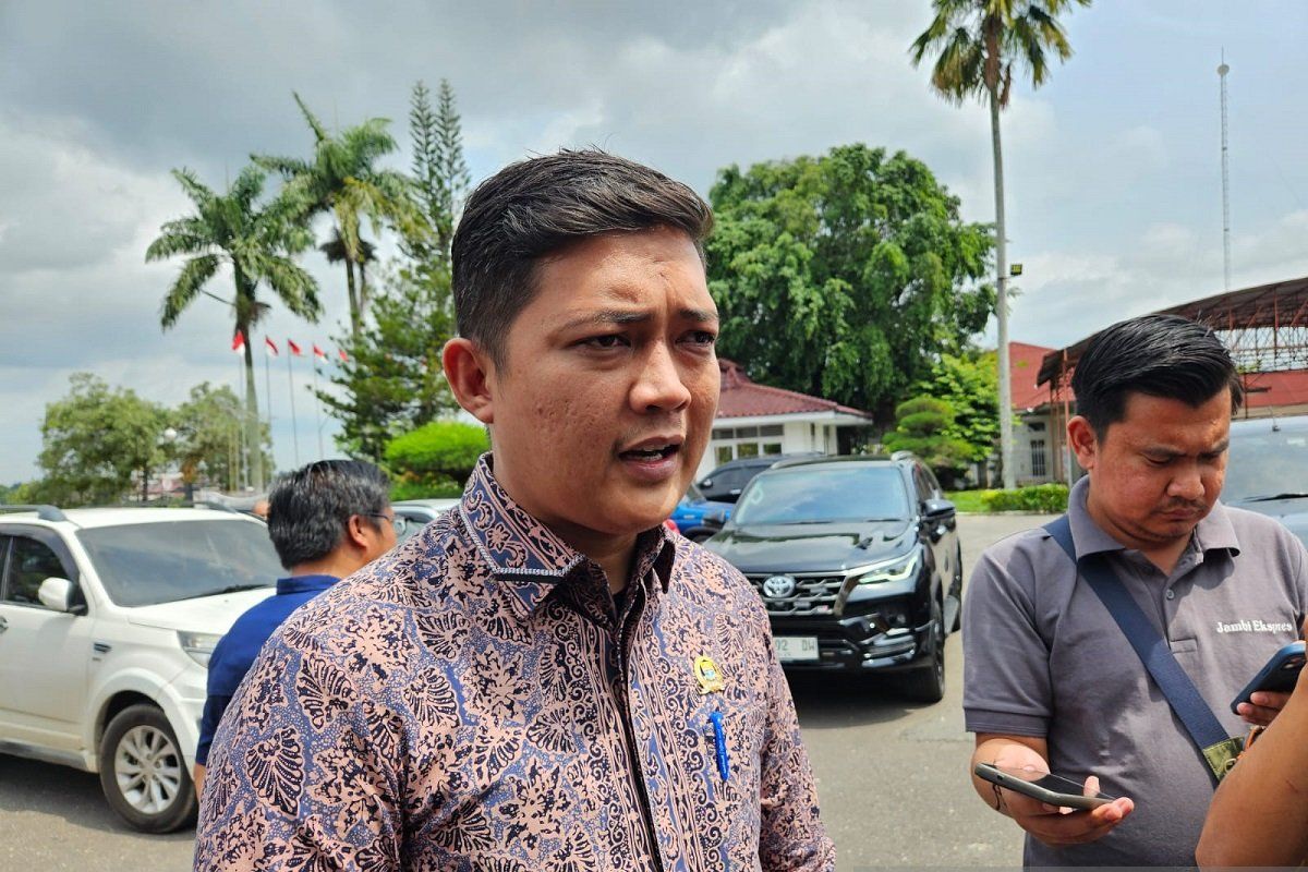 Ketua DPRD Hafiz Fattah minta APH tindak tegas pelaku Peti