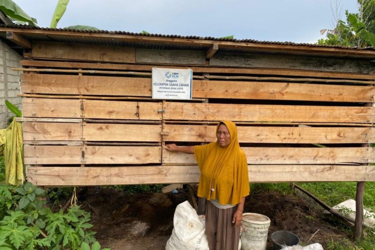 PLN berikan bantuan usaha kelompok peternakan ayam
