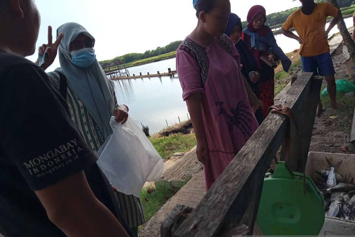 YASMIB Sulawesi dorong kebijakan iklim berkeadilan gender