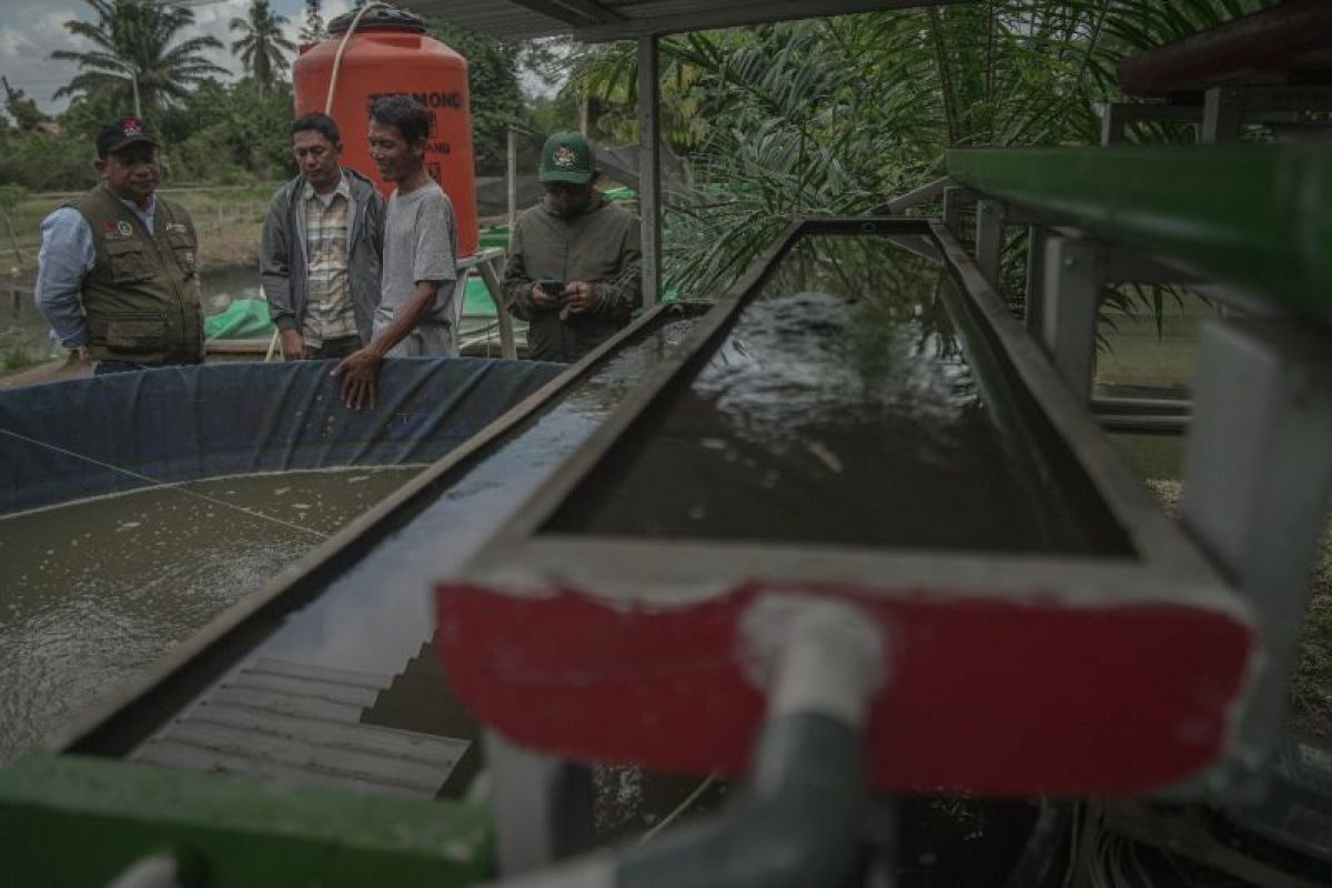 Kilang Pertamina Plaju hadirkan inovasi atasi limbah budidaya