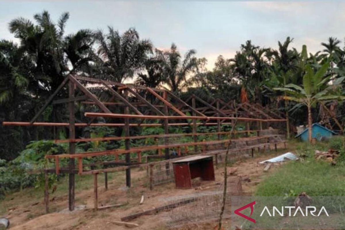Lapas Lubuk Basung kembangkan peternakan ayam dukung ketahanan pangan