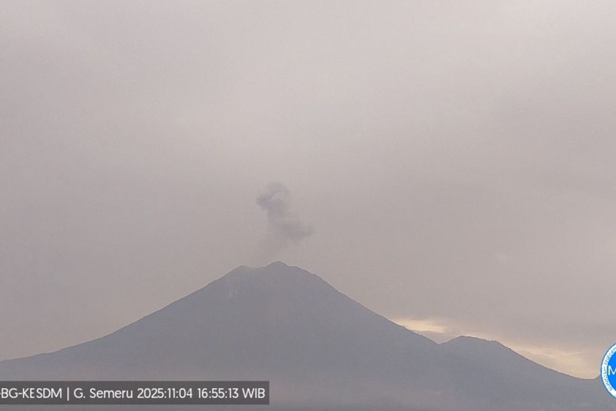 Gunung Semeru tiga kali erupsi dengan tinggi letusan mencapai 800 meter