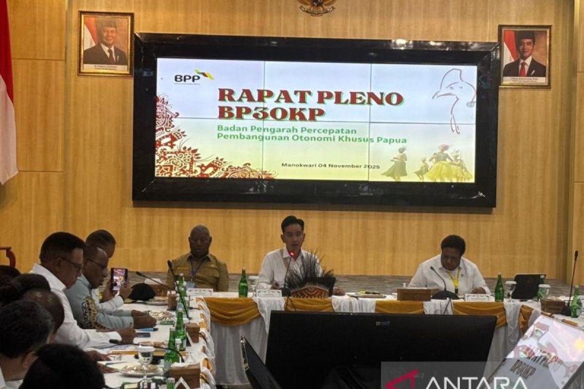 Wapres minta pembangunan Papua harus lebih cepat