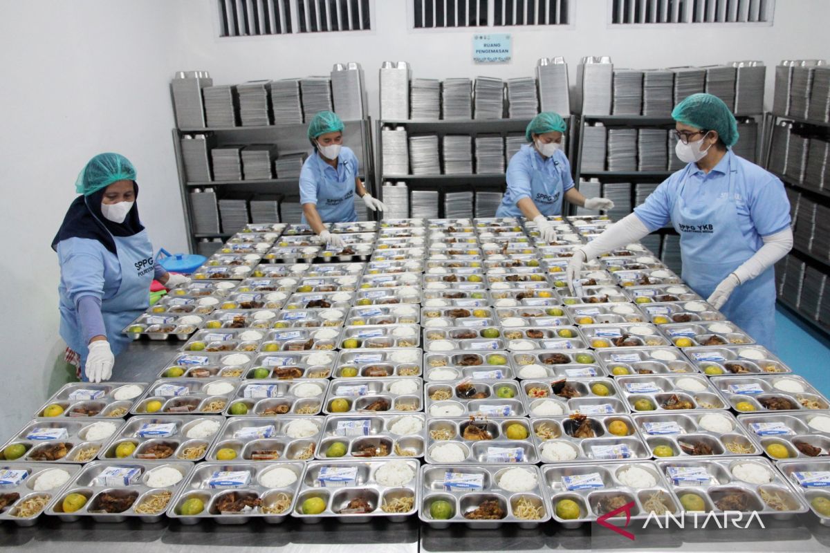 450 Dapur MBG Dibuka Kembali di Sumatra, 117 Masih Dalam Peninjauan