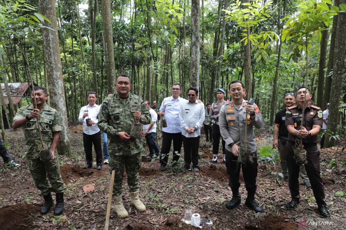 Bogor targetkan bangun hutan kota di setiap kecamatan mulai 2026