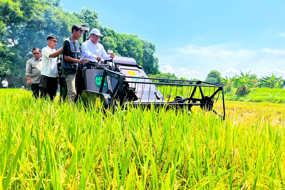 Mentan: Pertanian sumbang 14,35 persen PDB, jadi penggerak ekonomi