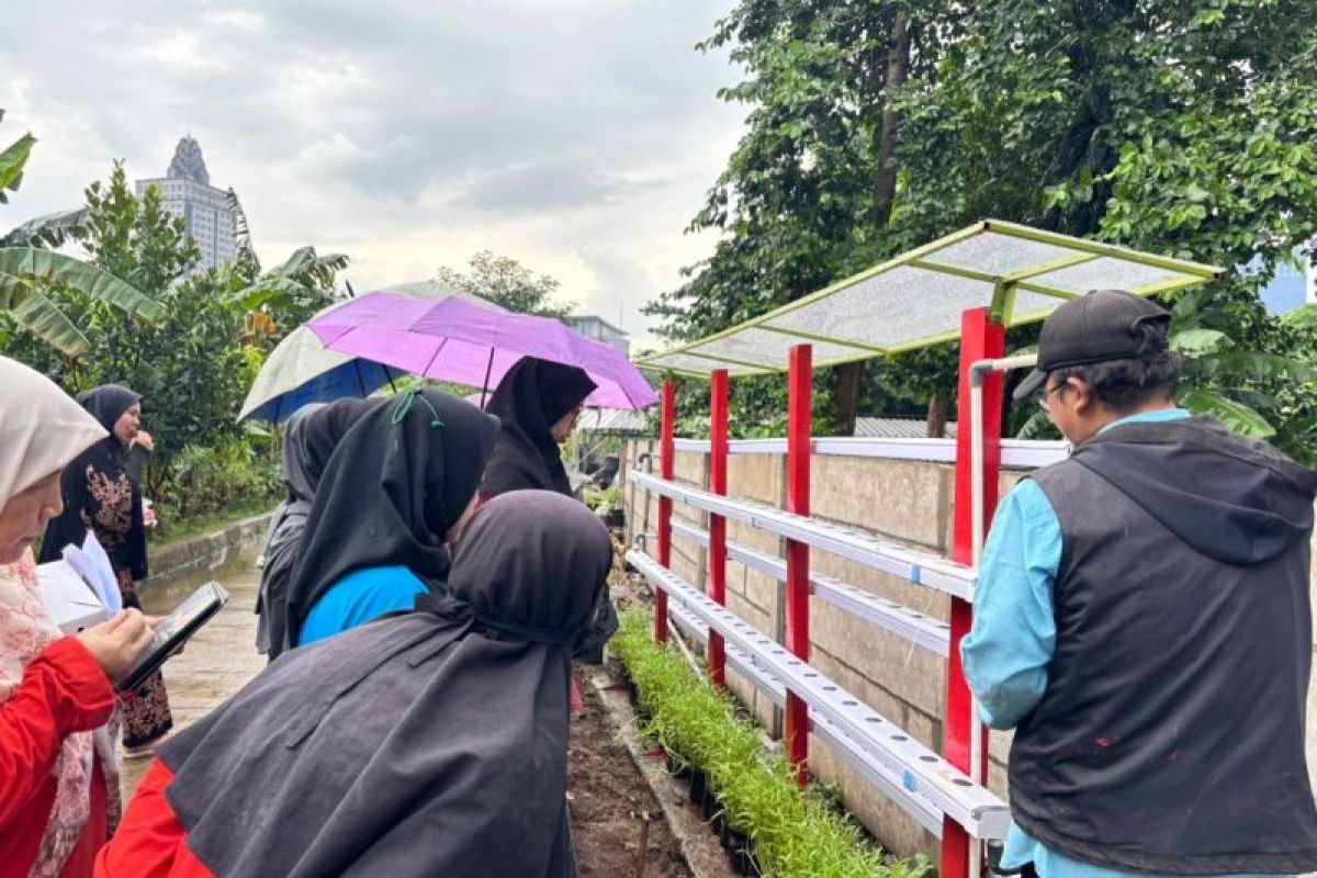 Pertamina Patra RJBB gelar Pelatihan Urban Farming Hidroponik di Cawang