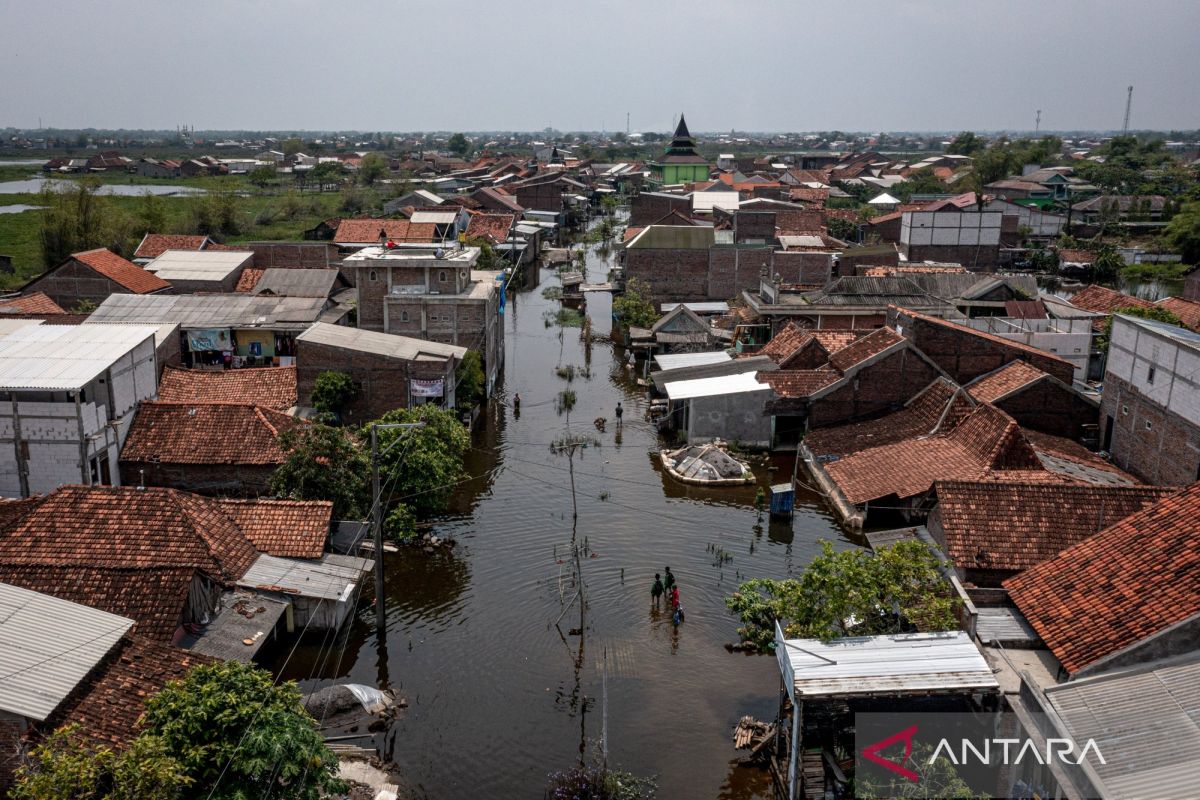Year Ender-Indonesia's path to 2030: Building toward a climate utopia