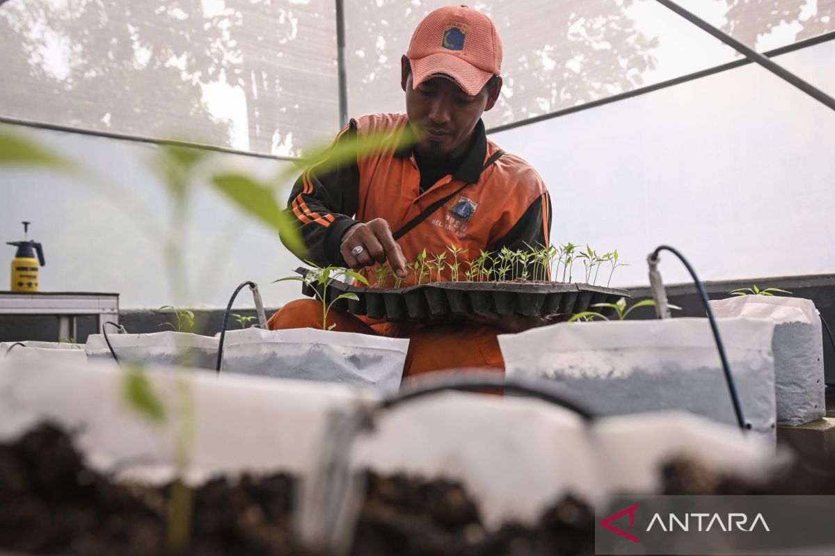 Pemkot Jaktim perkuat pangan lewat produk unggulan tiap kecamatan