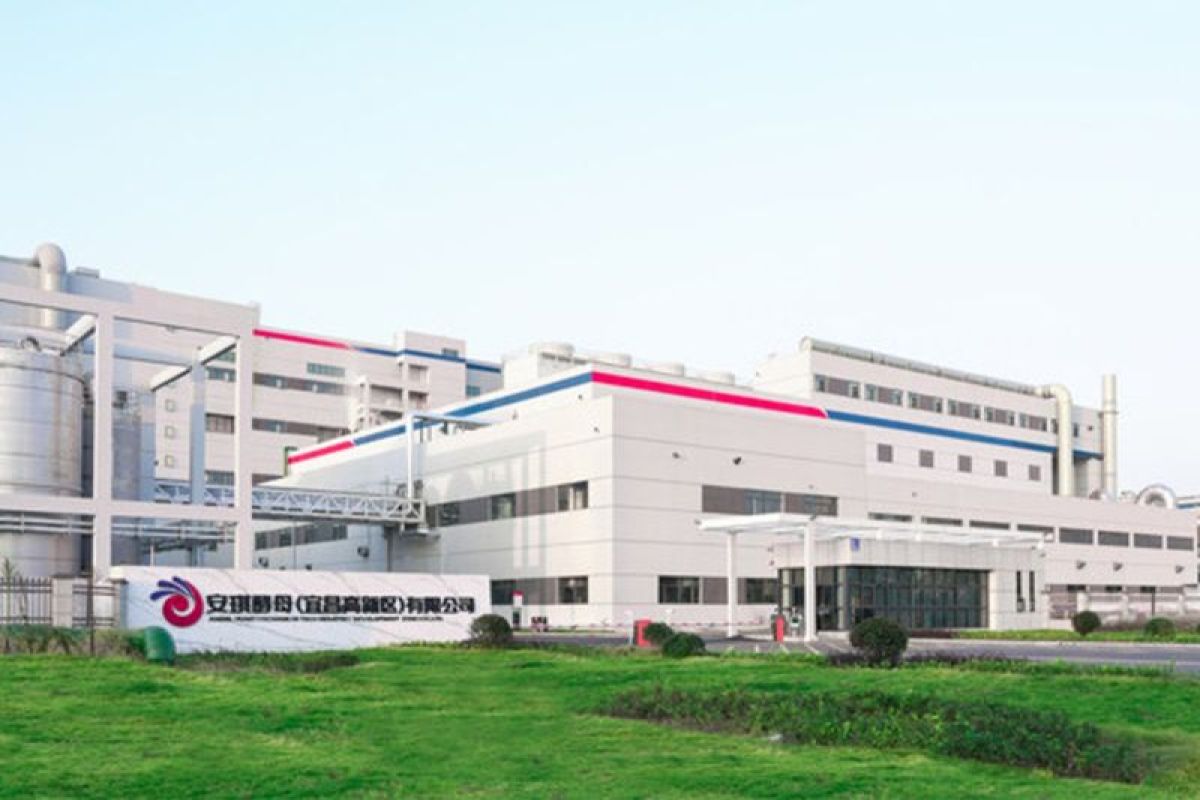 Angel Yeast starts Operating New 11,000-Ton Yeast Protein Production Line to Meet Global Demand