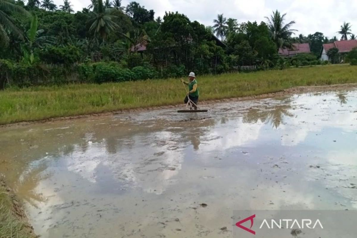 Kukar siap suplai pangan ke IKN dari kawasan deliniasi