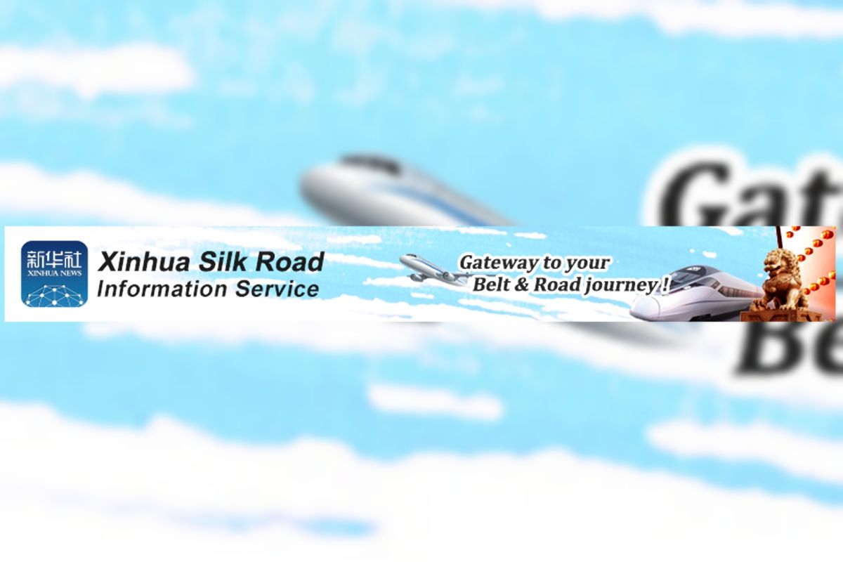 Xinhua Silk Road: Ziyuan County exhibits diverse agricultural products at international expo in Shenzhen