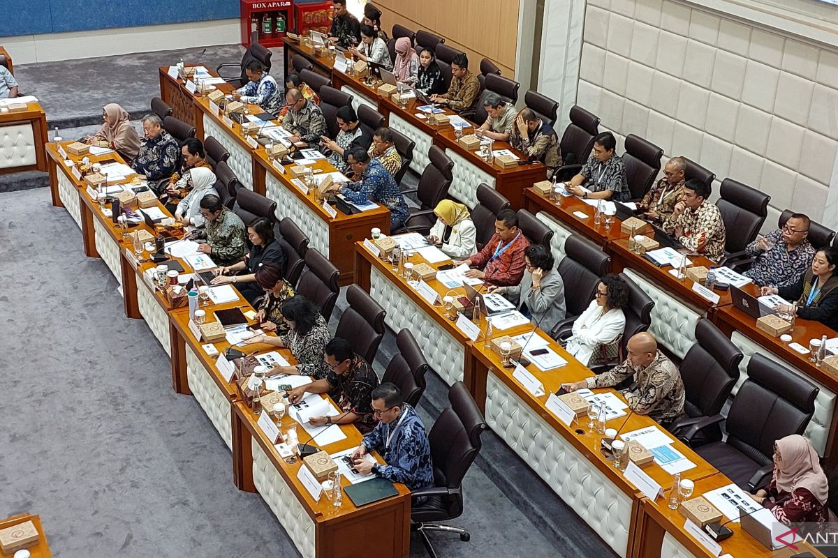 BPI sampaikan masalah keterbatasan bioskop ke DPR