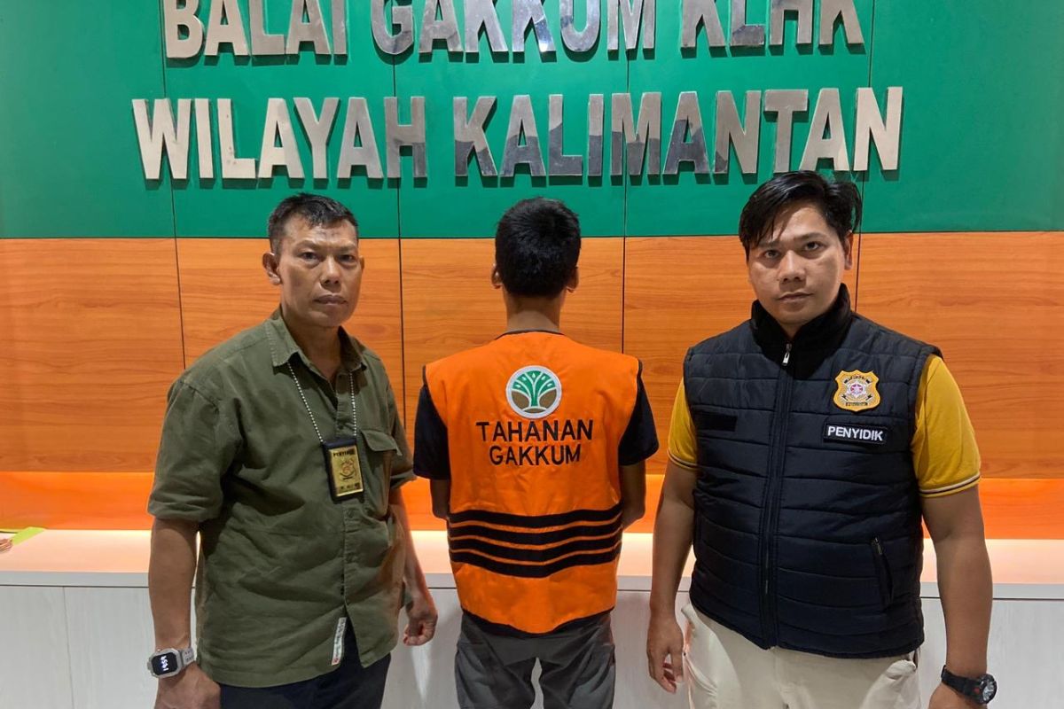 Kemenhut tangkap aktor kasus pembalakan liar ratusan kayu di Kaltim