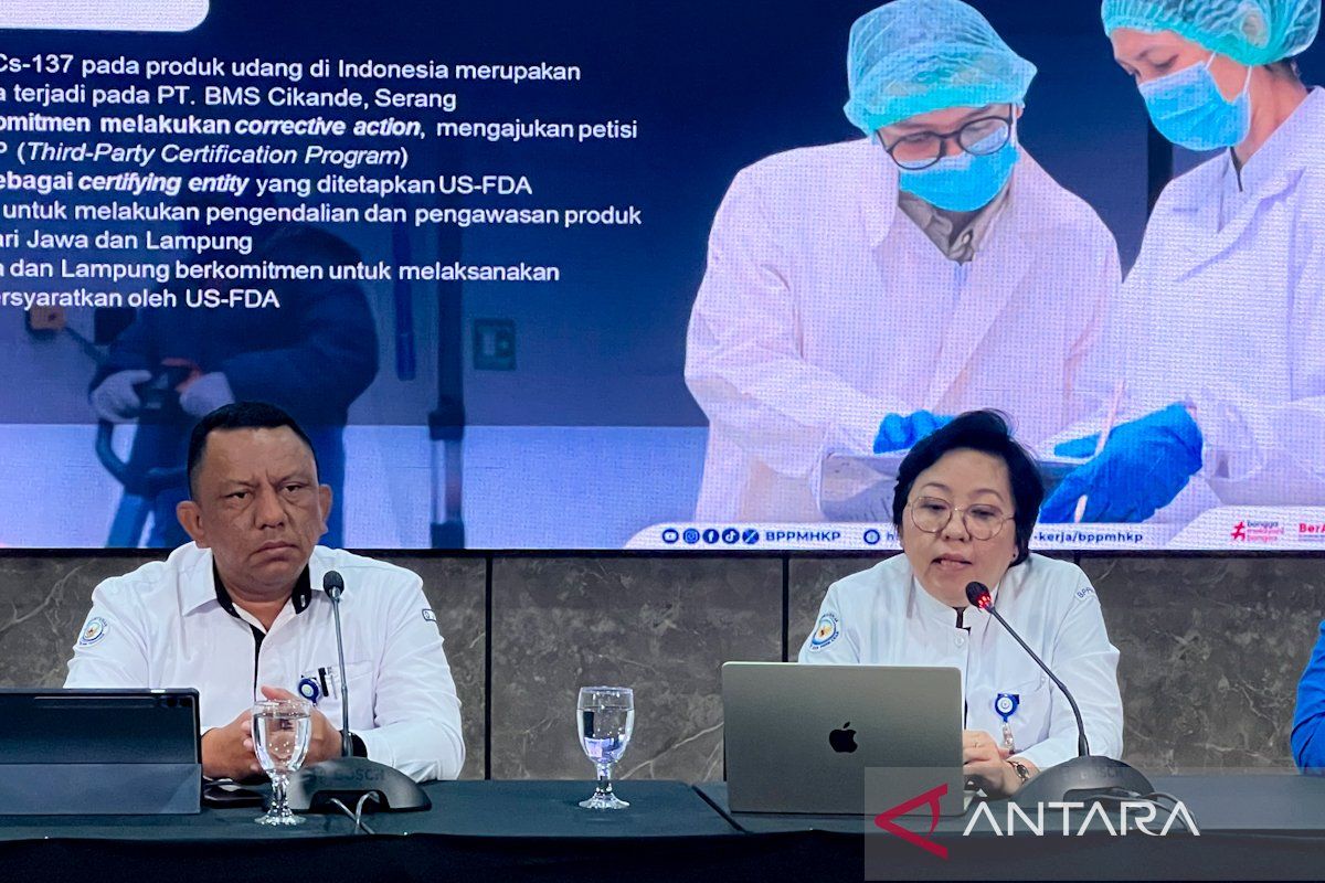 KKP perkuat budidaya berkelanjutan dukung kualitas ekspor udang RI