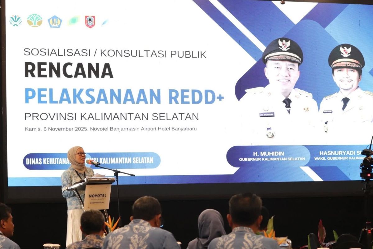 Kalsel tegaskan komitmen pengendalian perubahan iklim melalui REDD+