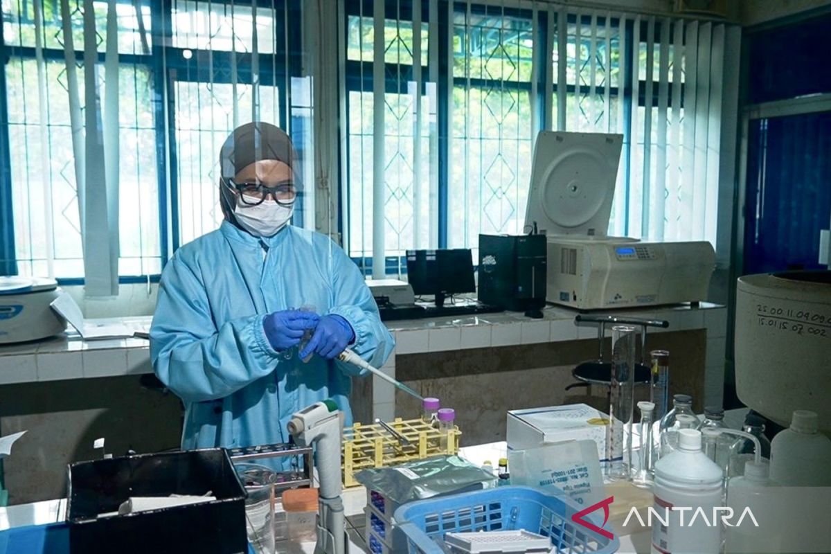 Kalsel gaet IPB uji albumin ikan haruan agar segera didistribusikan