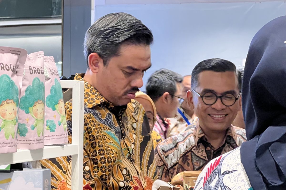 Menteri UMKM tutup pedagang/toko "thrifting" di "e-commerce"