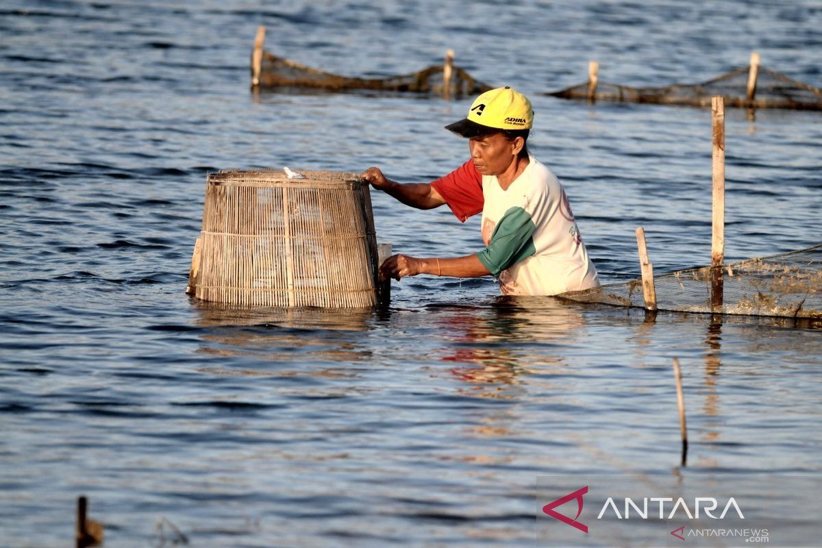 Pertamina Energy Terminal berdayakan nelayan lokal Tanjung Uban
