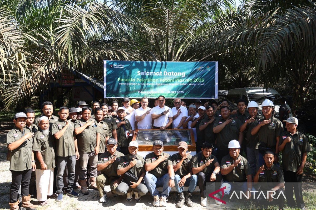 Sawit Berkelanjutan untuk Masa Depan