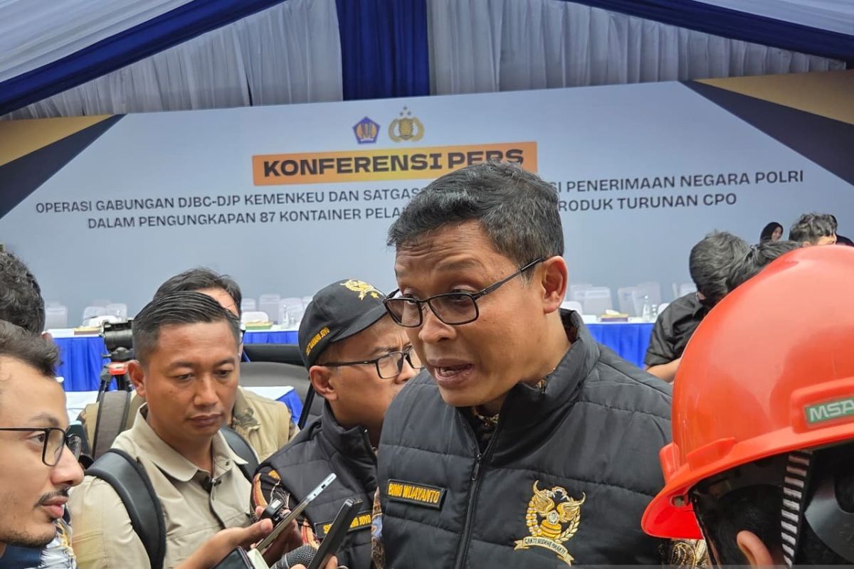 Dirjen Pajak sebut ada 282 perusahaan langgar aturan ekspor CPO