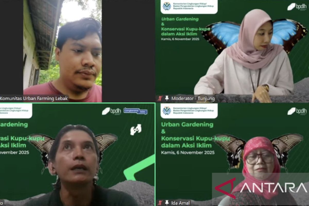 Penggiat konservasi soroti peran kupu-kupu jadi bioindikator ekosistem