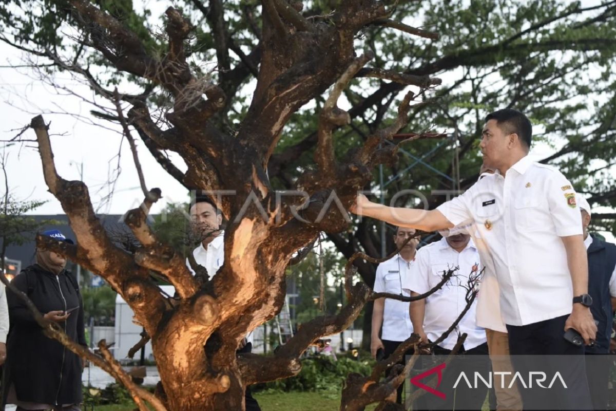 Pemkot Samarinda imbangi  pembangunan infrastruktur dengan penghijauan