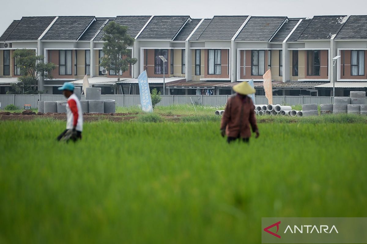 Pemerintah terus dorong perlindungan lahan pertanian dari alih fungsi