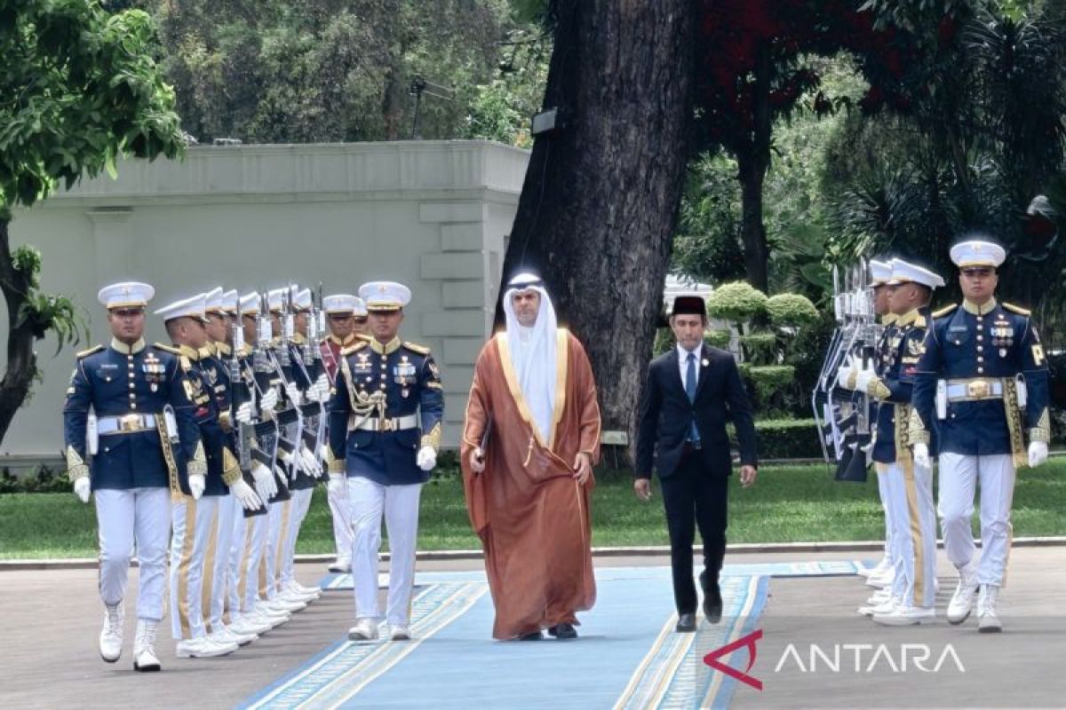 Prabowo terima surat kepercayaan 12 duta besar negara sahabat