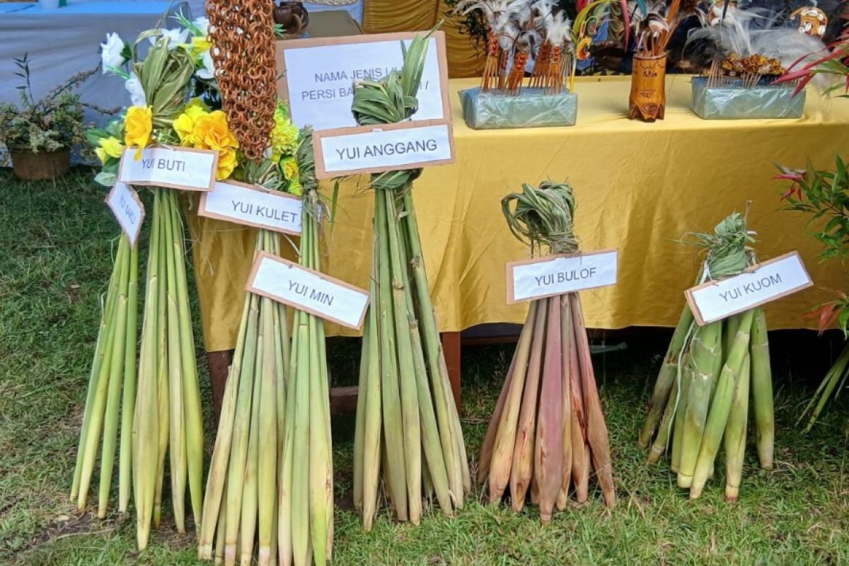 Pemkab Jayapura mendorong pelestarian pangan lokal lewat pameran UMKM