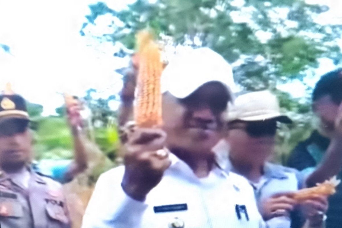 Pemkab Biak Numfor sediakan dana otsus Papua untuk ketahanan pangan